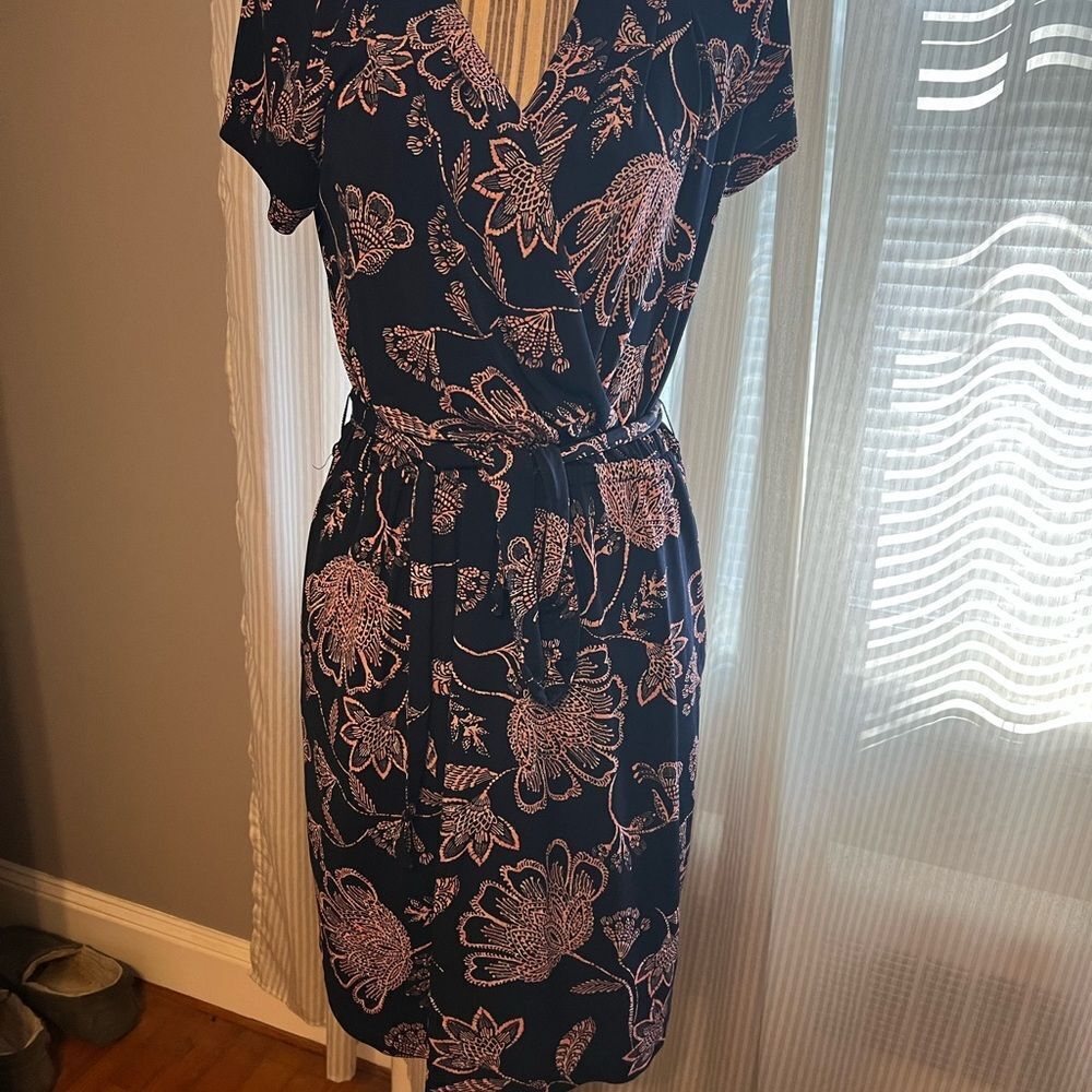 Banana Republic Blue and Pink Midi Sheath Dress V-Neck